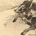 us019-森祖仙筆　猪図　日本葉書